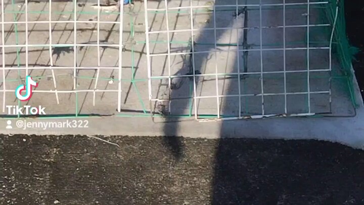 My png exam na nmn tyo kmanokiz