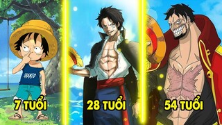 Sau 25 Năm Luffy Ngày Ấy Và Bây Giờ Đã Thay Đổi Như Thế Nào ?