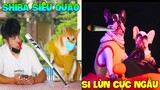 Thú Cưng Vlog | Chó Shiba Ngầu Nhất và Si Lùn #11 | Chó thông minh vui nhộn | Smart dog funny pets