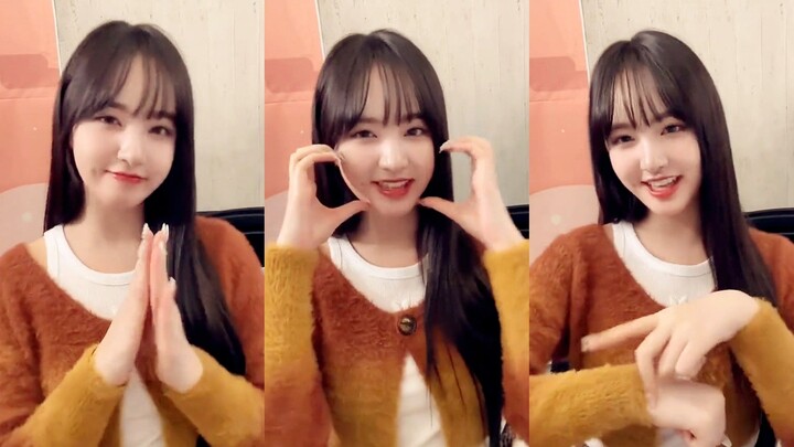 Jin Zhiyuan "Sorry, I'm Too Cute"