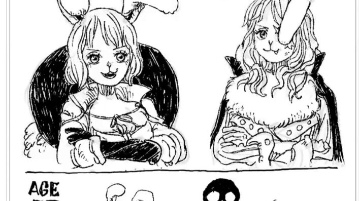 One Piece, we are old!