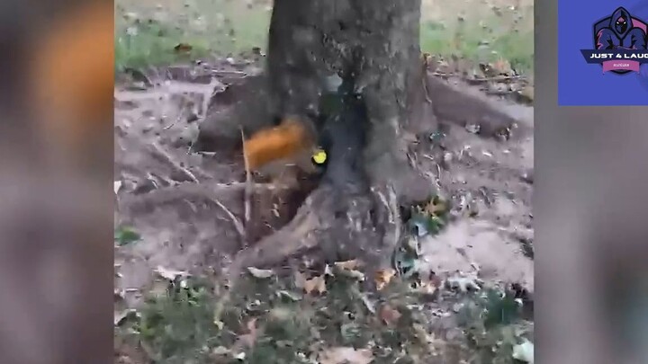 Cười mỗi ngày cùng tôi ! #videohaihuoc