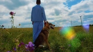 "What a strange species, humans!"