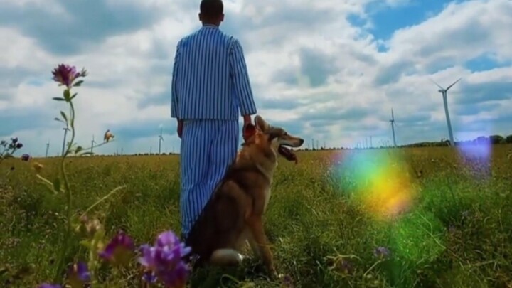 "What a strange species, humans!"