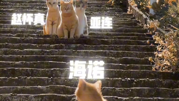 We once led an entire era…