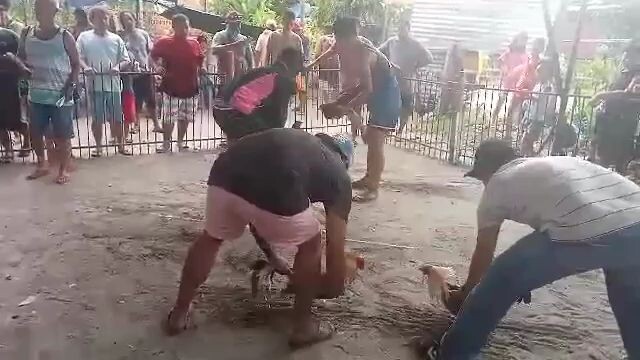 mistiso lang daw pero 1hit