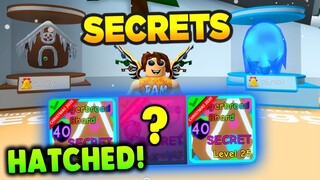 I Hatched 3 SECRET PETS in Christmas Event Roblox Bubblegum Simulator