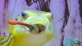 Mantis Shrimp: So it turns out I have my own nemesis too?