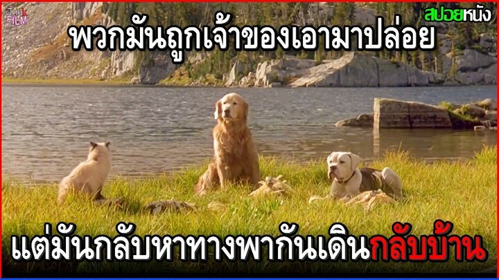 พวกมันทั้งสาม ถูกเจ้าของเอามาปล่อย แต่มันกลับพากันหาทางเดินกลับบ้านด้วยตัวเอง | สปอยหนัง