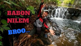 Strike Ikan Nilem Babon di Selokan itu Sesuatu Banget