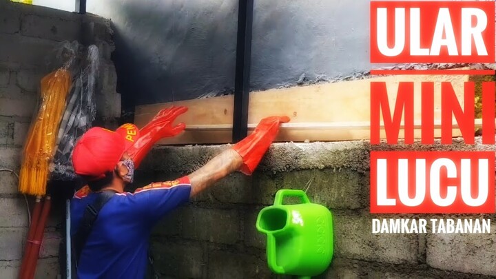 EVAKUASI ULAR MINI DAN LUCU/DAMKAR TABANAN RABU 17 JUNI 2020