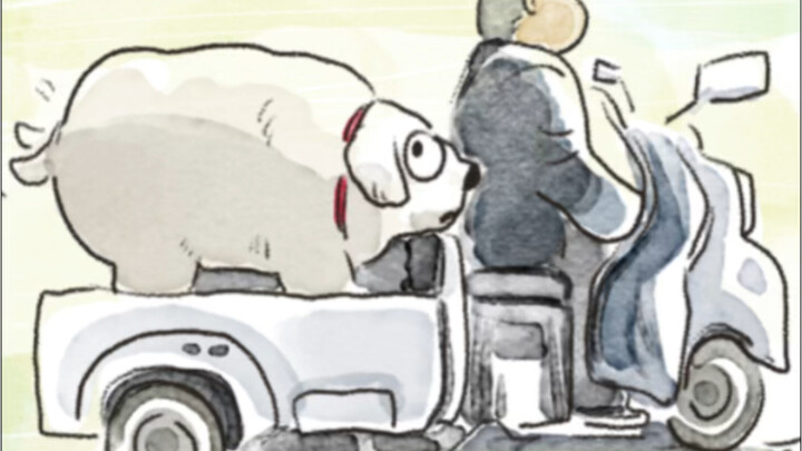 Đi đường thấy một con lợn trắng to, lại gần mới phát hiện ra đó là một con lợn La Hán!