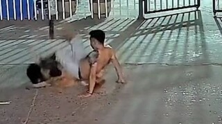 عندما لا يكون هناك خطر، فإن الكلب هو أكبر خطر! كيف يمكن تربية كلب دون أن تصاب بالجنون؟ إنها مجرد محا