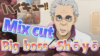 [Haikyuu!!]  Mix Cut |  Big boss - Shōyō