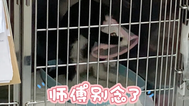 เมื่อคุณสวมห่วงทองแล้ว คุณก็ไม่ใช่มนุษย์ธรรมดาอีกต่อไป ความปรารถนาทางโลกทั้งปวงห้ามแตะต้องแม้เพียงนิ