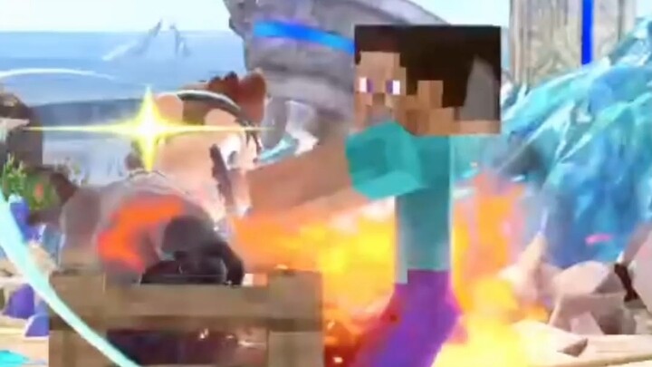 TO Level Steve