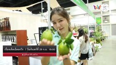 เรื่องเด็ดเอ็ดตะโร พาชิม ช็อป ของอร่อยในงาน SX 2025 วันจันทร์ที่ 29 ก.ย. เวลา 18.00 น.
