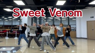 【ENHYPEN】-《Sweet Venom》全曲高质量翻跳/少爷亲自教的能不齐吗/7个大小姐回归初心