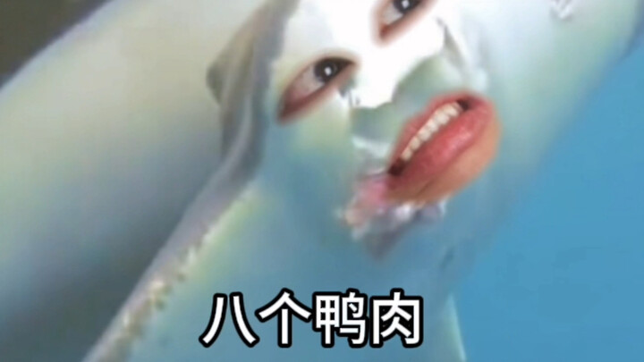 《瓦达西是什么很贱的鱼嘛》