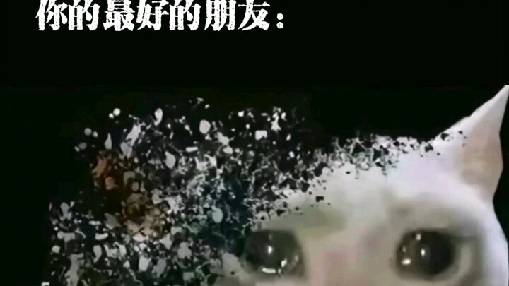 ก็เป็นเช่นนี้ไม่ใช่หรือ?