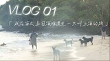Vlog01.在瓦努阿图海滩遇见一只叫上海的狗 A pretty chill afternoon when I met a dog named Shanghai in Vanutau