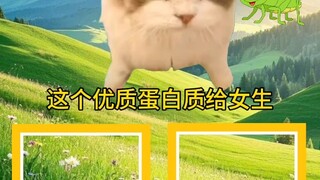 【爱玩星球动画的初见】新作上线，快来看看！