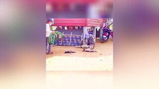 funny giaitri haihuoc vuinhon