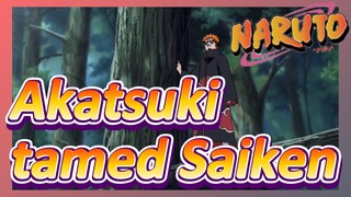 Akatsuki tamed Saiken