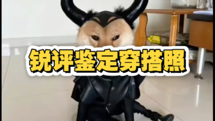 تقييم حاد وتحديد صور الأزياء