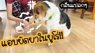 โลกของแสนดี ตอน แอบยัดยาในขนมยูโร่ แสนดีจะจับได้ไหม??