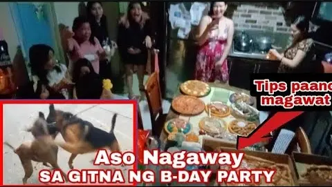 NAGAWAY ANG MGA ASO SA GITNA NG BIRTHDAY PARTY | PAANO MAGAWAT NG ASO