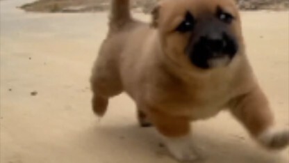 هيا اضغط على بطاريتي! 🔋