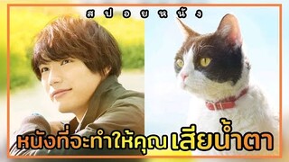 [สปอยหนัง] ซาโตรุ และ แมวของเขา หนังที่อาจทำคุณเสียน้ำตา