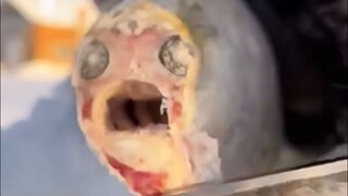 أتمنى لكم جميعًا مسبقًا قضاء وقت ممتع في التغريد!