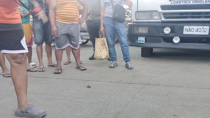 padre garcia batangas livestock auction market