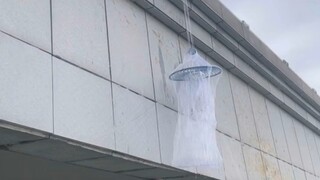 如果钓鱼遇到这种冲突，你会怎么做？