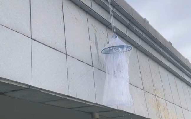 如果钓鱼遇到这种冲突，你会怎么做？