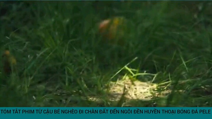 phim cậu bé nghèo đi chân đất