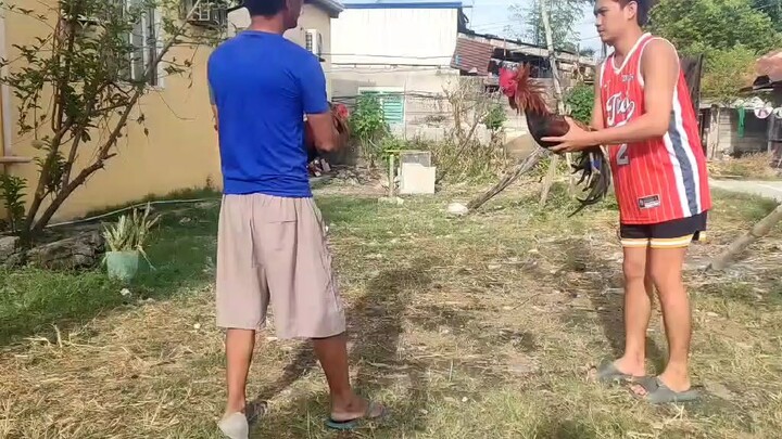 SBR vs Sweater