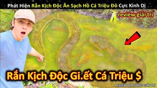 Phát Hiện Rắn Khủng Kịch Độc Ăn Sạch Hồ Cá Triệu Đô Cực Kinh Dị || Review Giải Trí Đời Sống