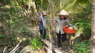 Một Ngày Đẹp Trời Ra Chăm Sóc Vườn Rau Và Buổi Cơm Trưa Đạm Bạc | TKQ T244