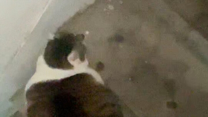 วิดีโอบางๆ แต่ฝีมือชัดเจน