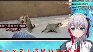 Gadis alami Jepang menonton "Marmut Dua Dimensi Mencegah Pertarungan 2.0"