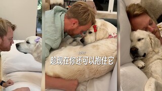 趁现在你还可以抱住狗狗，珍惜和它在一起的时光吧