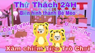 PLAY TOGETHER | THỬ THÁCH 24H Vào Vai Chú Mèo Dễ Thương - Louis & Angel gặp khó khi chơi Mini Game