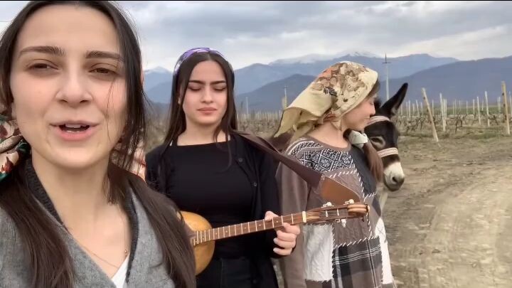 Vibes 100%
