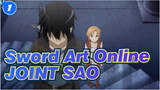 Sword Art Online| JOINT【SAO】_1
