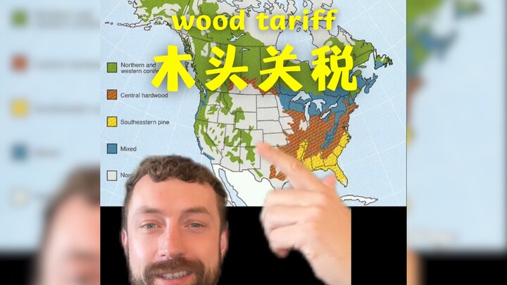 لماذا نستورد الخشب من كندا 😓😓😓