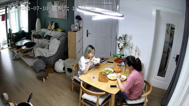 ไม่ได้หลอกพวกคุณนะ แมวที่บ้านฉันเรียกฉันว่าแม่จริงๆ!