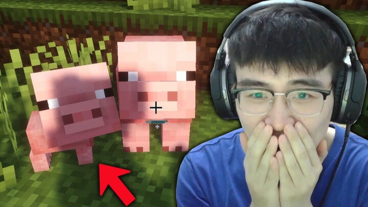 I want to raise pigs!!!